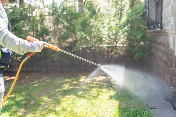 Best Pest Inspection Near Me  in Lochmoor Waterway Estates, FL