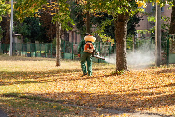 Best Mosquito Control Services  in Lochmoor Waterway Estates, FL